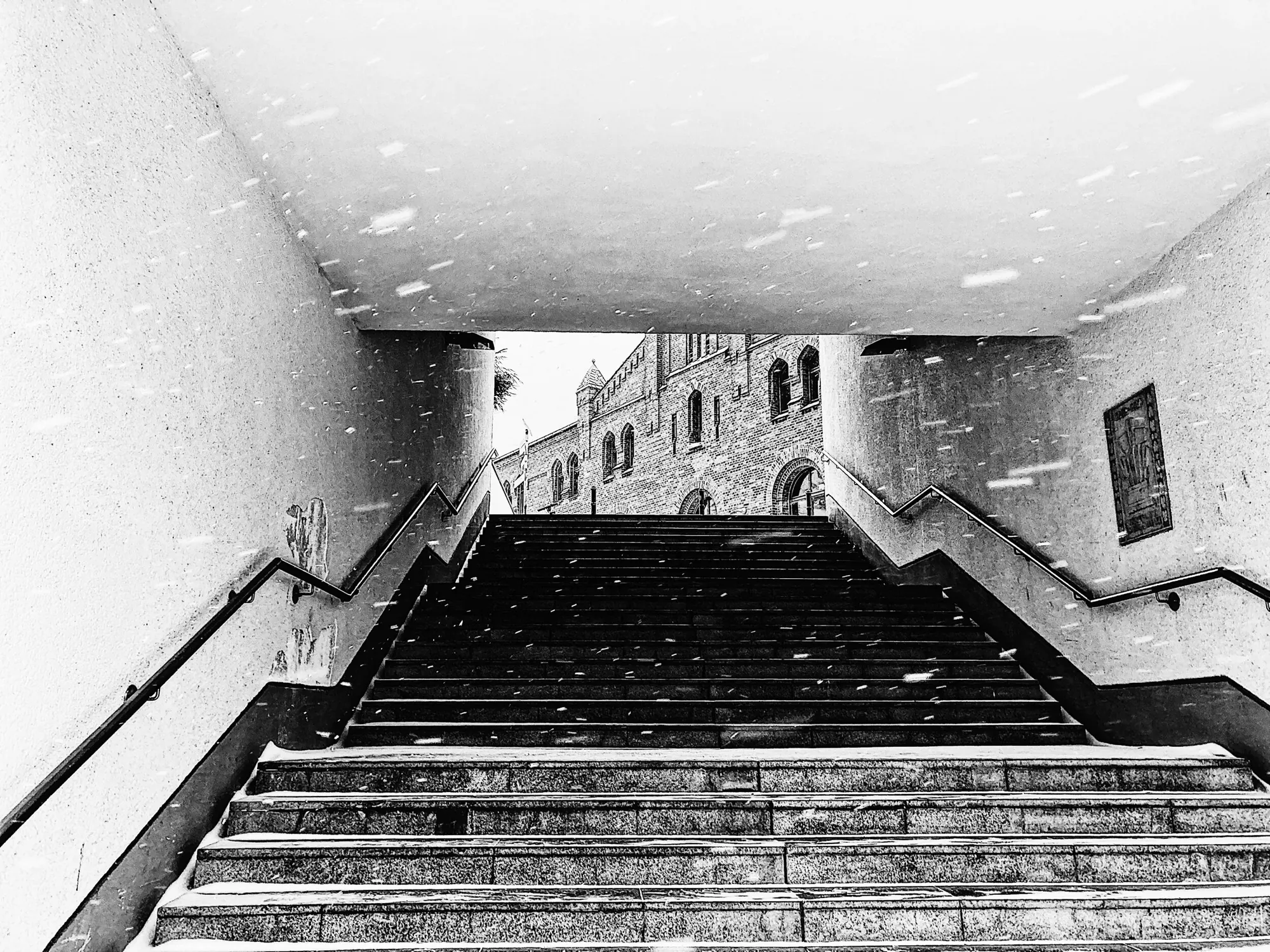 Photograph by Andrés González
